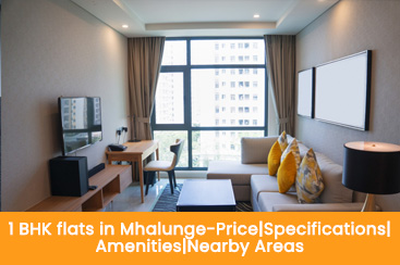 1 BHK Flats in Mhalunge