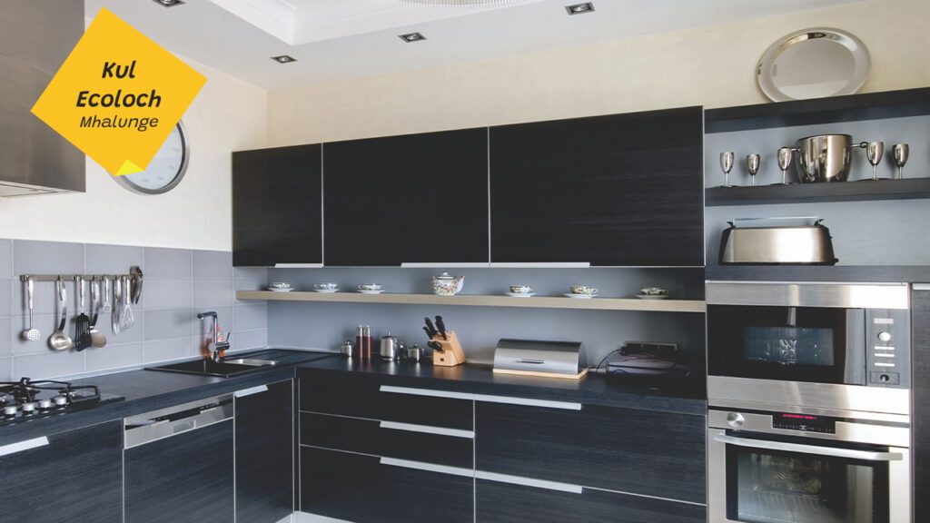 1 BHK Flats in Mhalunge